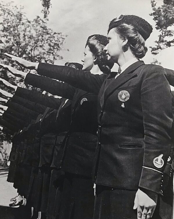 Sleeve insignia Jeugdstorm cadre - Image 4
