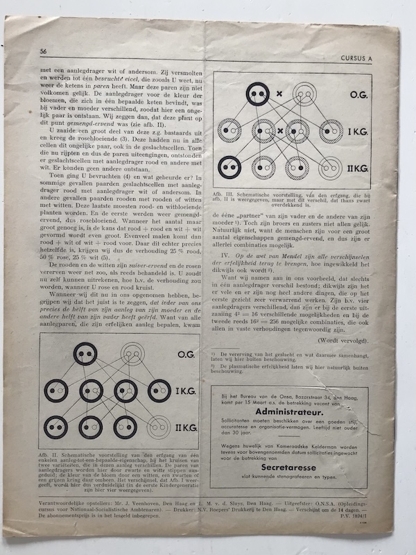 ONSA, no. 7 - Image 3