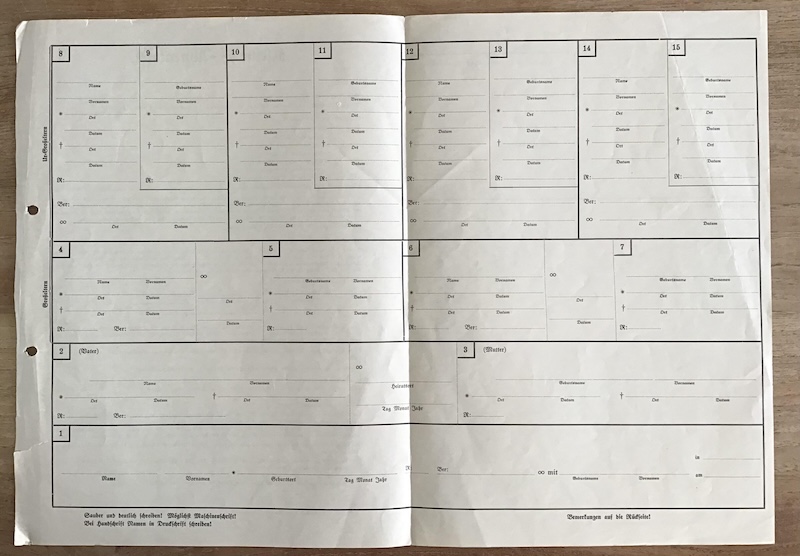 SS Ancestry Form - Image 4