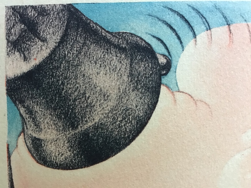 Postcard Bell, in Color – Lustrum - Image 4