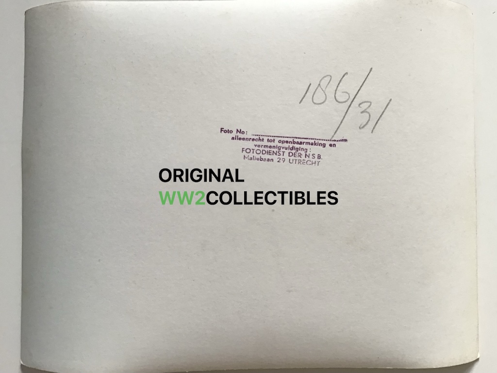 WA march parade Malieveld Feenstra - Image 4