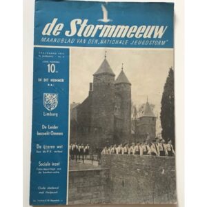 stormmeeuw nsb ommen