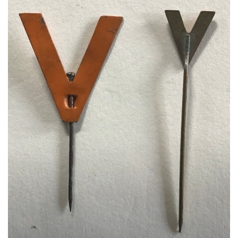 V Campaign Lapel Pins