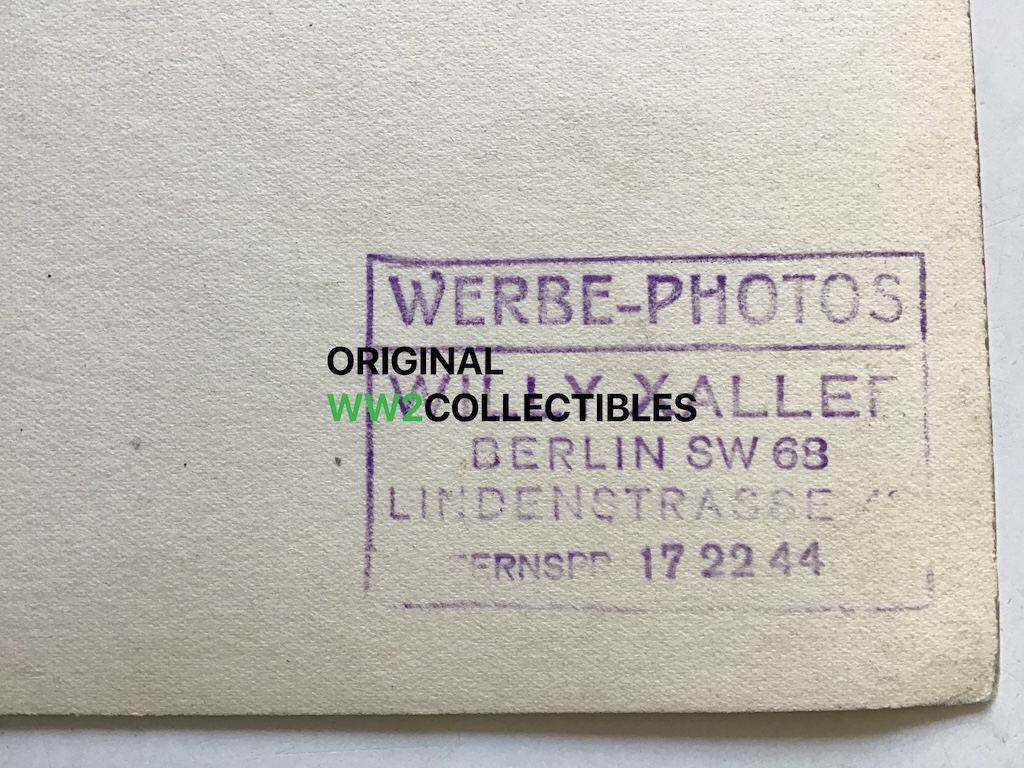 Photo of Luxury Mein Kampf Edition - Image 4