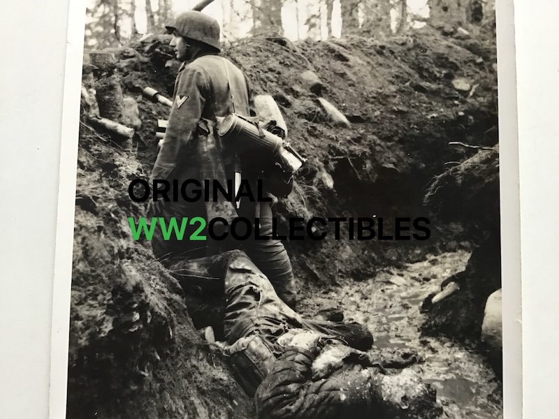 SS Kriegsberichter – Division Nord - Image 3