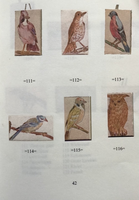 Winterhulp Bird Stamps - Image 4