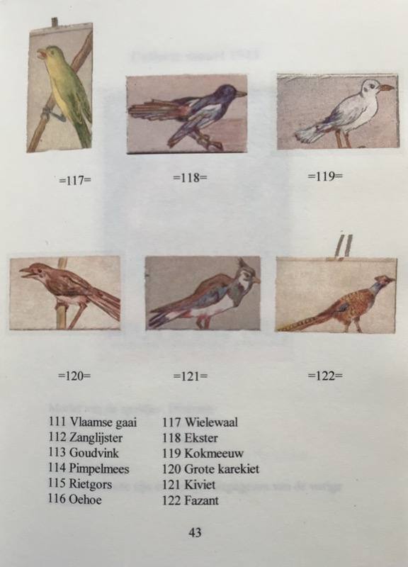 Winterhulp Bird Stamps - Image 5
